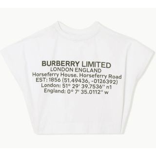 バーバリー(BURBERRY)のBURBERRY KIDS  バックロゴTシャツ　(Tシャツ/カットソー)