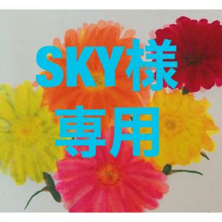 メイベリン(MAYBELLINE)のSKY様専用　メイベリン デュオスティック(フェイスカラー)