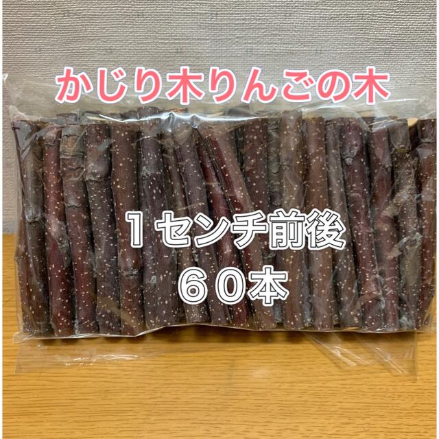 かじり木 りんごの木 太め60本 - 小動物用品