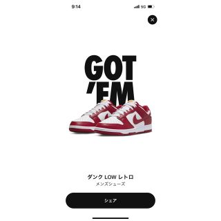 ナイキ(NIKE)のNIKE DUNK LOW RETRO GYM RED 27(スニーカー)