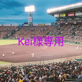 ハンシンタイガース(阪神タイガース)の9/2金 阪神vs巨人 グリーンシート【ペア】(野球)