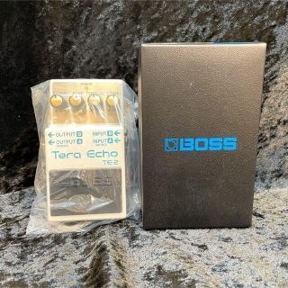 ボス(BOSS)のBOSS TE-2 Tera Echo テラエコー(エフェクター)