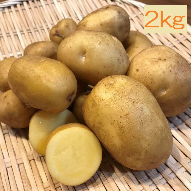 インカのめざめ 2kg 希少ジャガイモ 特別栽培 農家直送 食品/飲料/酒の食品(野菜)の商品写真