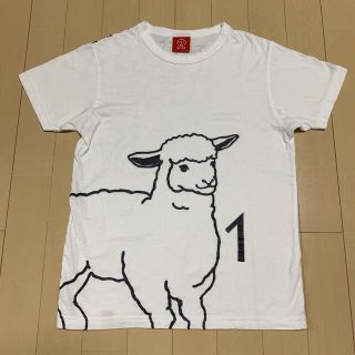 オジコ(OJICO)のオジコ　半袖Tシャツ　M  150 160(Tシャツ/カットソー)