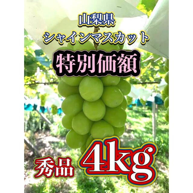 z2 山梨県産 ぶどう シャインマスカット 朝採り産地直送 公式 3960円 ... 山梨県産葡萄詰め合わせ3.2キロ