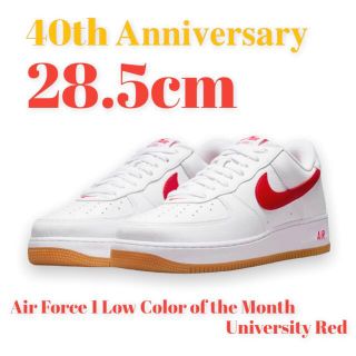 ナイキ(NIKE)のNike Air Force 1 Low Color of the Month(スニーカー)