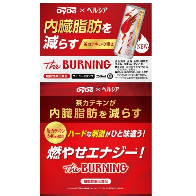 通販正規店】 送料無料 ダイドー ダイドー×ヘルシア The BURNING 250g缶×30本入×(2ケース) MISONOYA  PayPayモール店 通販 PayPayモール