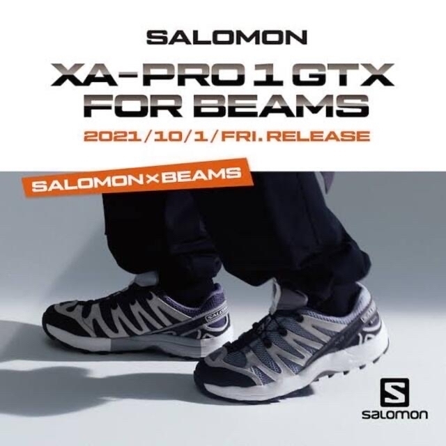 salomon beams別注 GORE-TEX 28.0 最低販売価格 vivacf.net