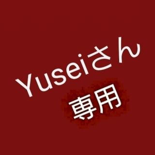 ★Yusei凱凛さん専用★オーダーです(シール)