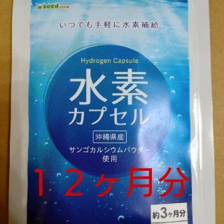 水素カプセル　１２ヵ月分(その他)