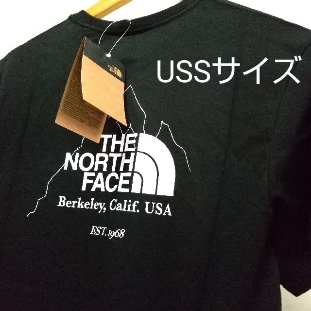 THE NORTH FACE(ザノースフェイス)のTNF graph tee メンズのトップス(Tシャツ/カットソー(半袖/袖なし))の商品写真