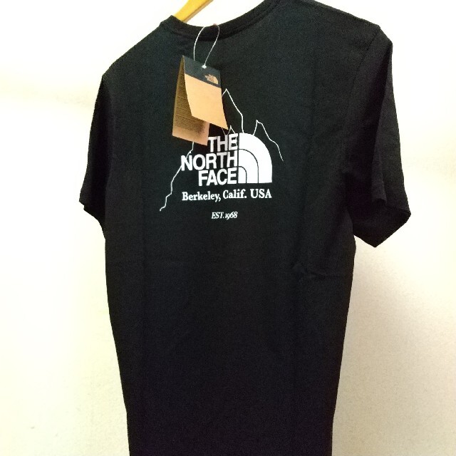 THE NORTH FACE(ザノースフェイス)のTNF graph tee メンズのトップス(Tシャツ/カットソー(半袖/袖なし))の商品写真