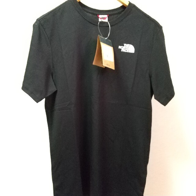 THE NORTH FACE(ザノースフェイス)のTNF graph tee メンズのトップス(Tシャツ/カットソー(半袖/袖なし))の商品写真