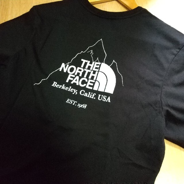 THE NORTH FACE(ザノースフェイス)のTNF graph tee メンズのトップス(Tシャツ/カットソー(半袖/袖なし))の商品写真