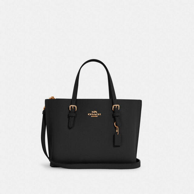 COACH バック 専用出品