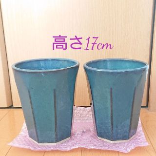 蘭鉢 植木鉢 二個(プランター)