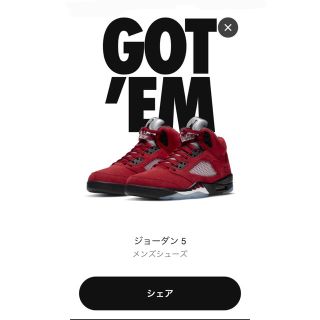 ナイキ(NIKE)のNIKE AIR JORDAN 5 "TORO BRAVO"(スニーカー)