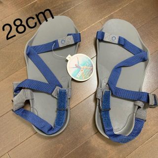 アルトラ(ALTRA)のXERO SHOES(ゼロシューズ)サンダル(サンダル)