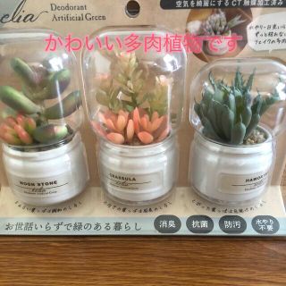 フェイク多肉植物 セット  空気浄化作用 (インテリア雑貨)