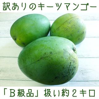 沖縄産訳あり「Ｂ級品」扱いキーツマンゴー約２キロ┃滑らかな食感が人気(フルーツ)