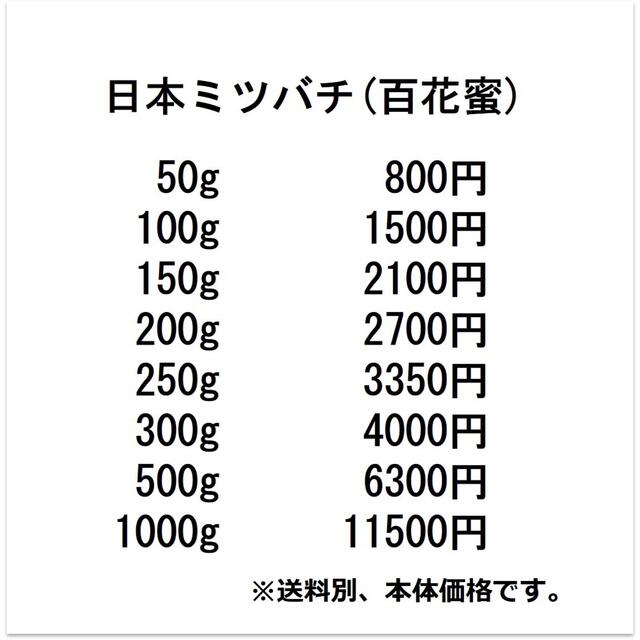 セール【非加熱・生はちみつ】4種セット・300g×4(4本) 7