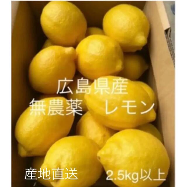 国産　レモン　広島県産　無農薬　レモン　瀬戸内レモン　2.5kg以上　産地直送 食品/飲料/酒の食品(フルーツ)の商品写真