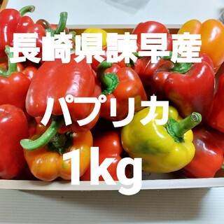 長崎県諫早産 パプリカ1kg(野菜)