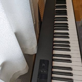 コルグ(KORG)のKORG D-1(電子ピアノ)