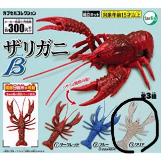 ザリガニβ ザリガニ模型　クリア　透明(その他)