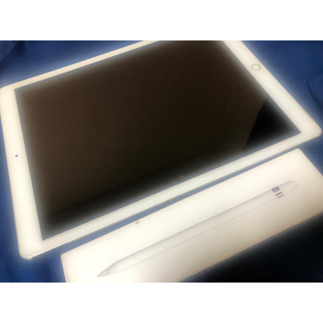 iPad Pro (12.9インチ) 第2世代 256GB Pencil付き | napierhearing.org.nz