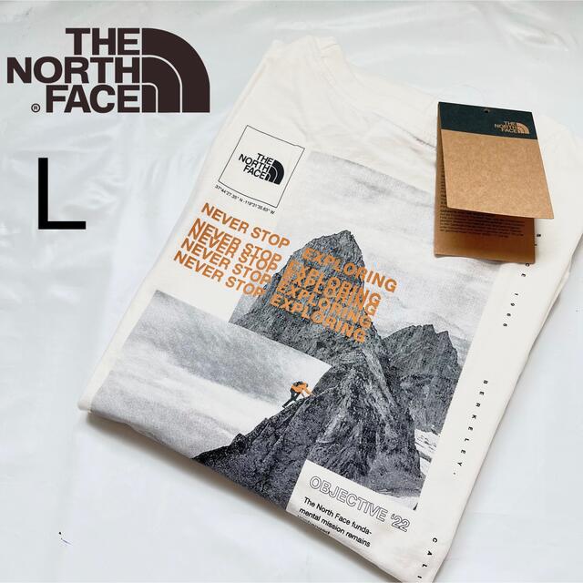 THE NORTH FACE(ザノースフェイス)のノースフェイス メンズ 長袖 ロンT トレーナー Tシャツ ロゴプリント L メンズのトップス(Tシャツ/カットソー(七分/長袖))の商品写真