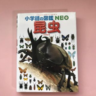 ショウガクカン(小学館)の小学館の図鑑　NEO 昆虫(その他)