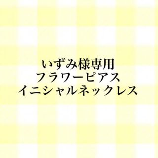 いずみ様専用 ピアス/ネックレス(ピアス)