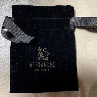 アレクサンドルドゥパリ(Alexandre de Paris)のアレクサンドルドゥパリ保存袋(小)(ショップ袋)