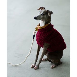 ロンハーマン(Ron Herman)の新品ロンハーマン　FOUND MY ANIMAL 犬用首輪　Sサイズ(犬)