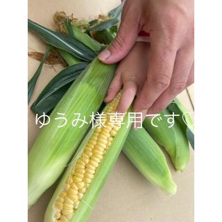 ゆうみ様専用です♡(野菜)