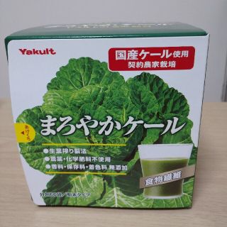 ヤクルト まろやかケール 60袋(青汁/ケール加工食品)