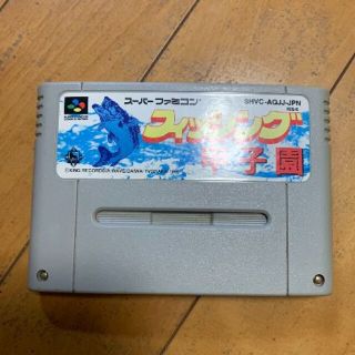 【中古】SFC(スーパーファミコン) フィッシング甲子園(家庭用ゲームソフト)
