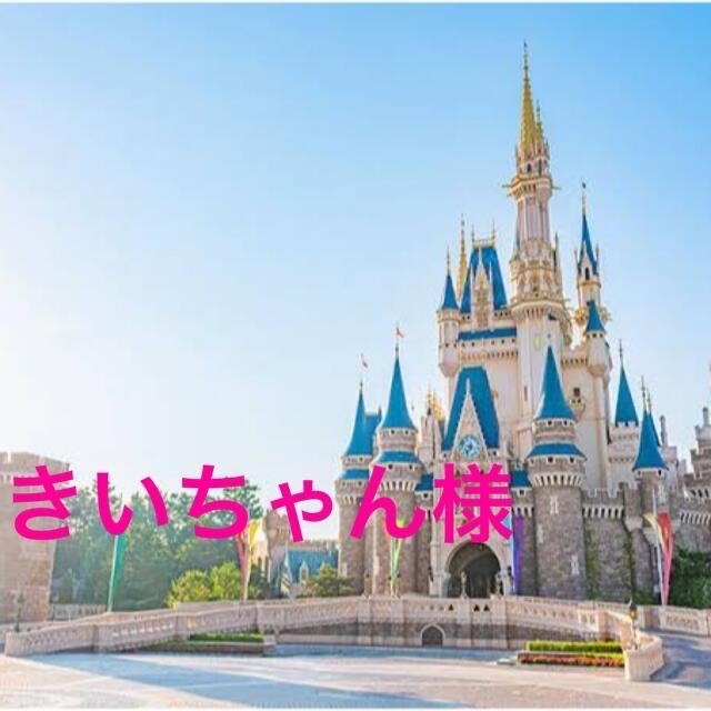 きいちゃん様専用 | paymentsway.co
