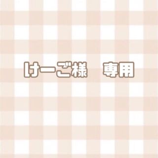 けーご様専用　アクキーセット(ミュージシャン)