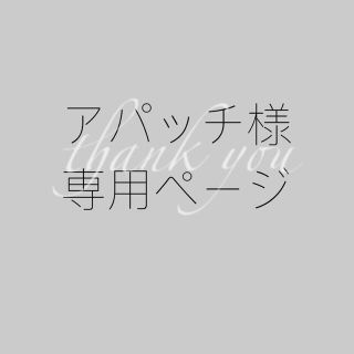 アパッチ様専用(その他)