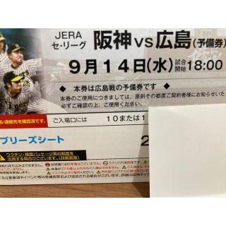 ハンシンタイガース(阪神タイガース)の9/14(水）阪神-広島　ブリーズシート通路横ペア(野球)