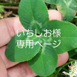 いちしお様専用ページ(野菜)