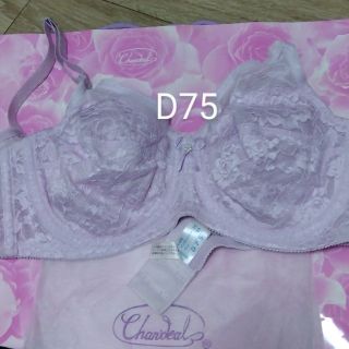 シャンデール　補正下着　ブラジャー　D75(ブラ)