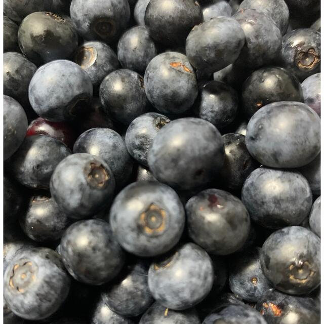ブルーベリーの実　１ｋｇ以上　生果実 食品/飲料/酒の食品(フルーツ)の商品写真