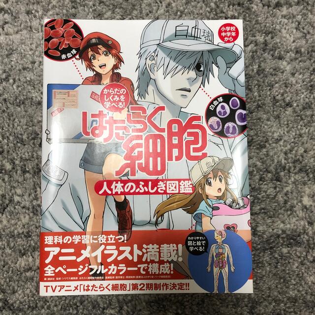 講談社(コウダンシャ)の「からだのしくみを学べる！はたらく細胞人体のふしぎ図鑑」 エンタメ/ホビーの本(絵本/児童書)の商品写真