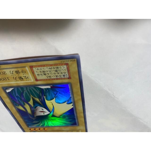 状態確認用 アクア マドール | paymentsway.co