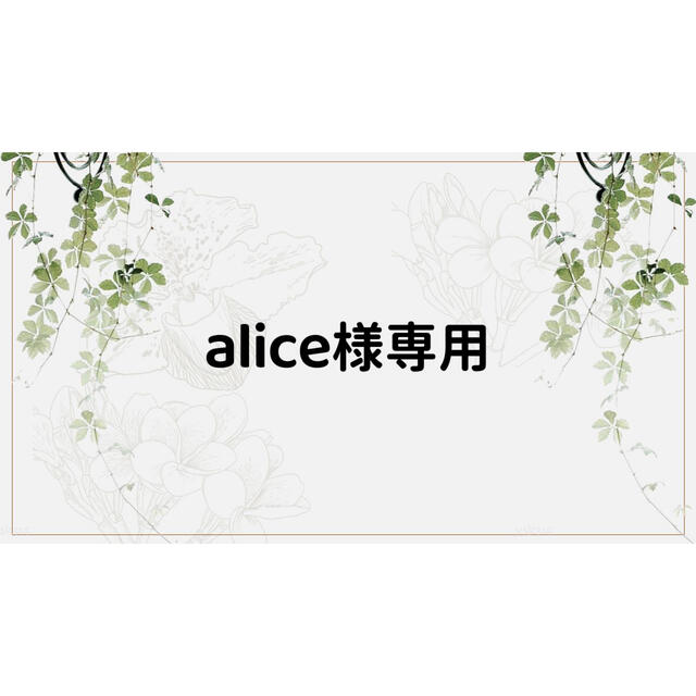 alice様専用ページ | refeccs.com.br