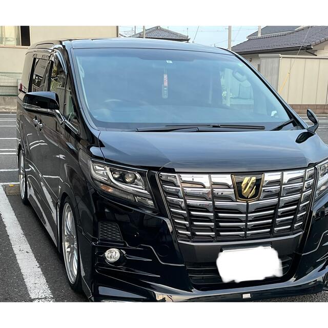 期間限定今なら送料無料 #439 アルファード30前期 ボンネット