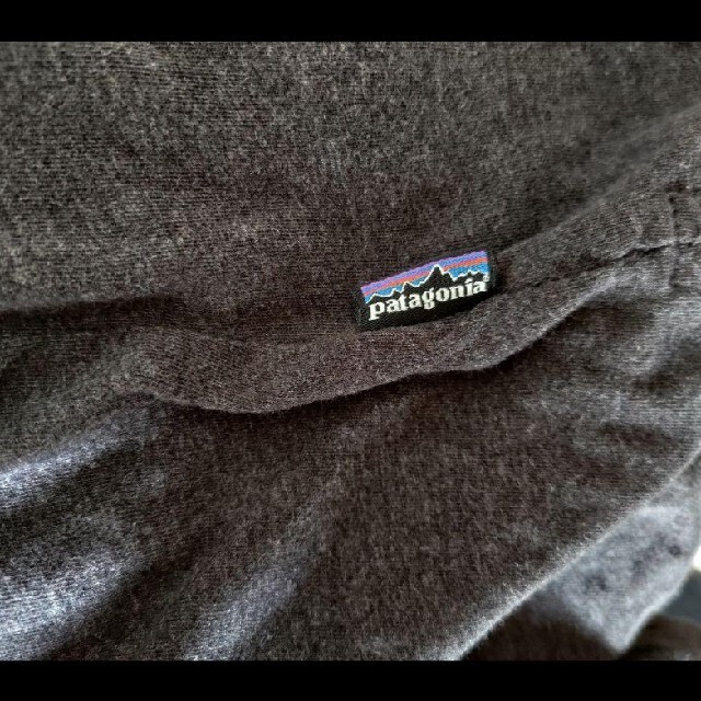 patagonia(パタゴニア)の値下げしました Patagonia ポロシャツ 墨黒 メンズM メンズのトップス(ポロシャツ)の商品写真